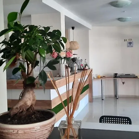 вивиан Kiten (Burgas)