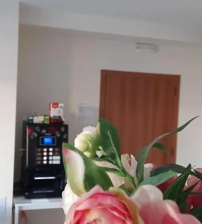 вивиан 招待所